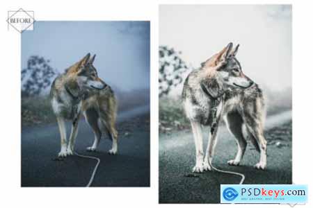 12 Huppy Puppy Lightroom Presets