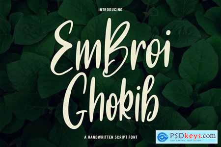 Embroi Ghokib Handwritten Script Font ents