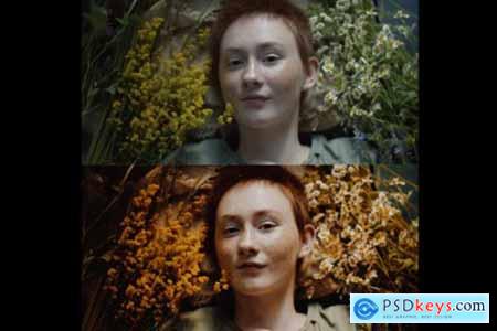 Autumn Film LUTS PACK for Videos