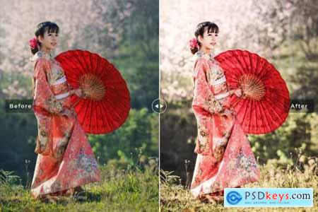 Asiatic Lily Pro Lightroom Presets 7003212