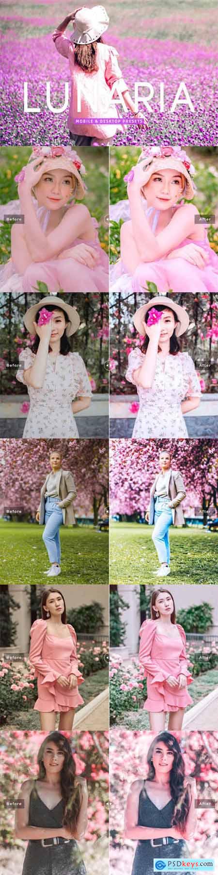 Lunaria Pro Lightroom Presets