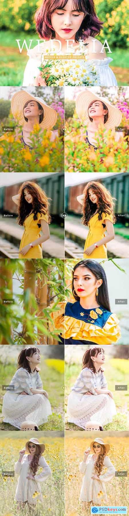 Wedelia Pro Lightroom Presets