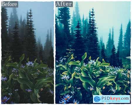 Forest Photoshop Actions & Lightroom Presets YZMZXWS