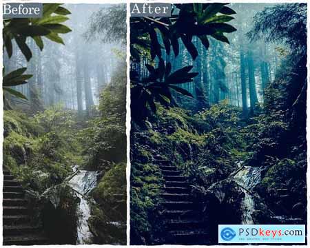 Forest Photoshop Actions & Lightroom Presets YZMZXWS