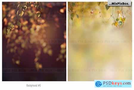 Autumn Portrait Backgrounds 5814806