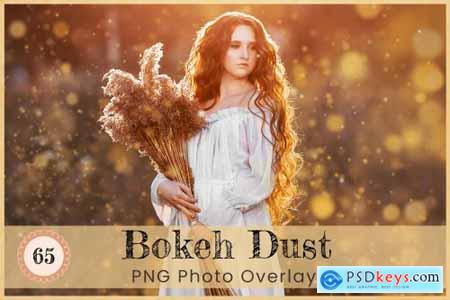 Bokeh Dust Photoshop Overlays PNG 7081433