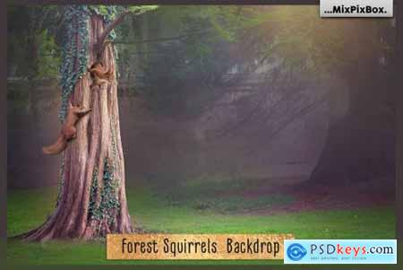 Forest Squirrels Backdrop 6120189