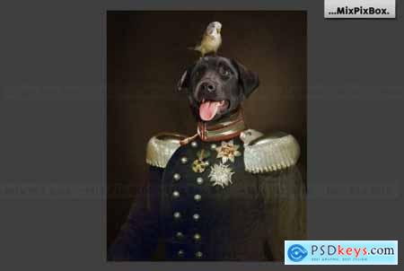 Pet Portrait Oil Background v.5 6120192