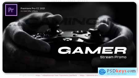 Gamer Stream Promo 36771525