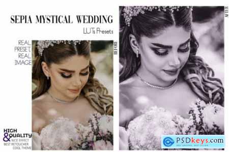 30 Sepia Wedding Video LUTs Presets