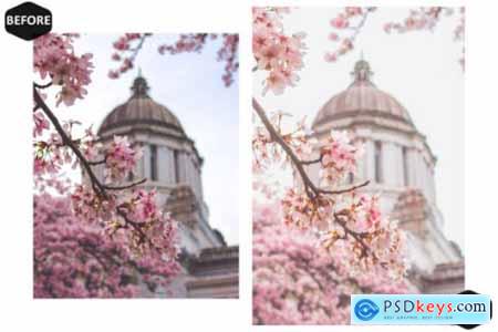 13 Spring Blossoms Video LUTs Presets