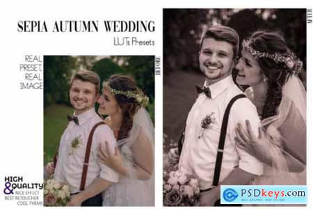 30 Sepia Wedding Video LUTs Presets