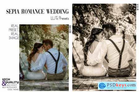 30 Sepia Wedding Video LUTs Presets