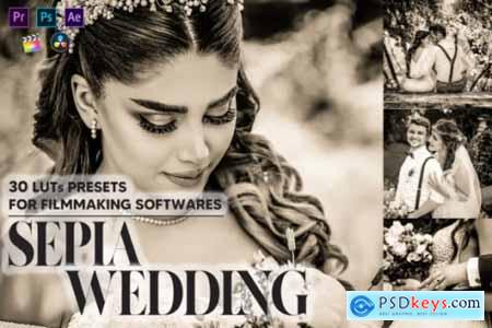 30 Sepia Wedding Video LUTs Presets