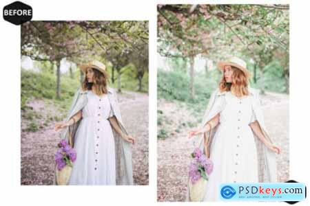 13 Spring Blossoms Video LUTs Presets