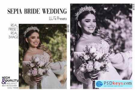 30 Sepia Wedding Video LUTs Presets