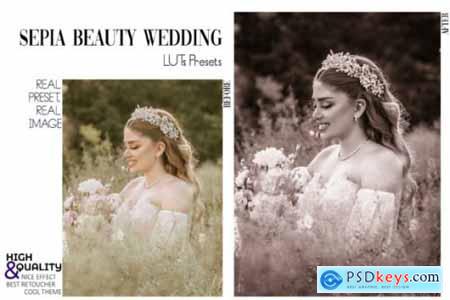 30 Sepia Wedding Video LUTs Presets