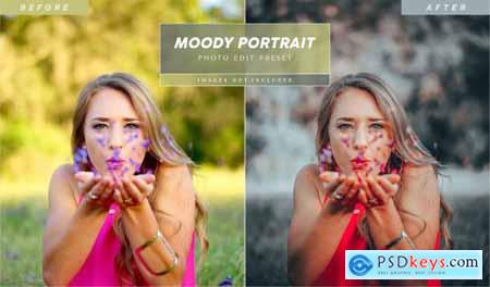 Editable moody portrait photo edit filter