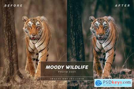 Editable moody wildlife photo edit for instagram