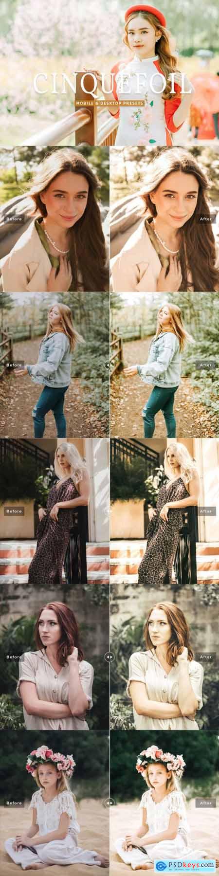 Cinquefoil Pro Lightroom Presets 7092689