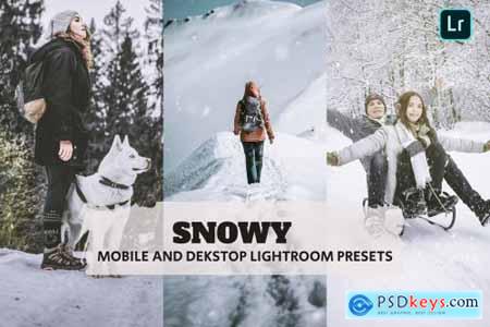 Snowy Lightroom Presets Dekstop and Mobile