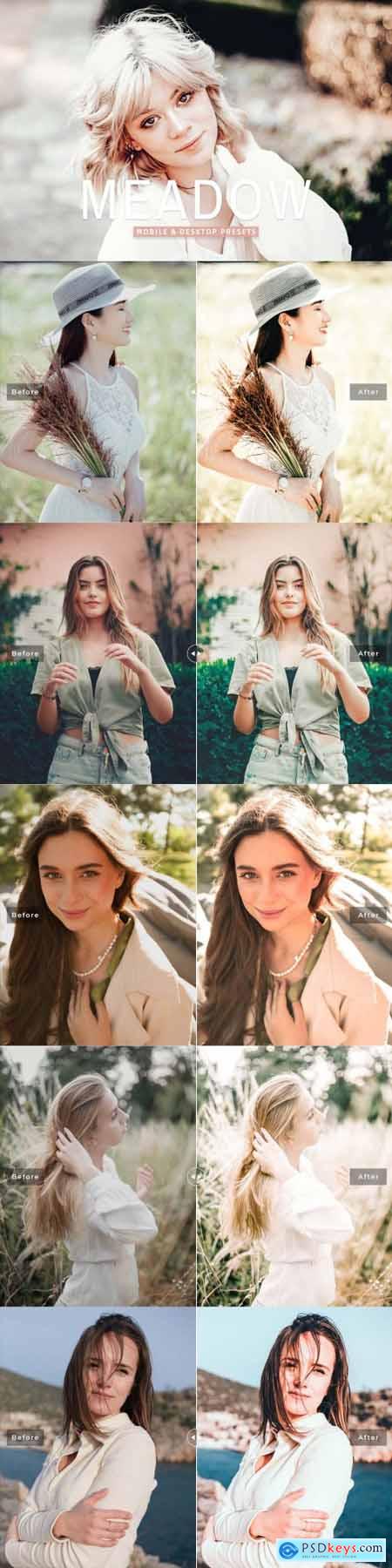 Meadow Pro Lightroom Presets 7148834