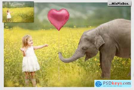 Baby Elephant Photo Overlays 5069631