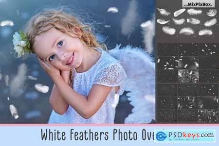 White Feathers Overlays 2982738