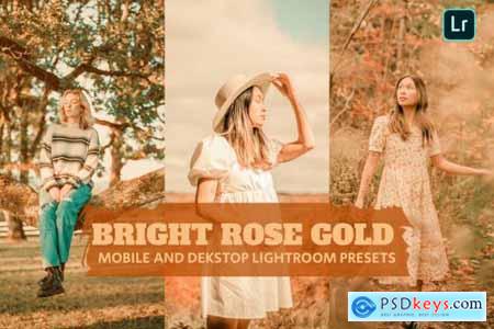 Bright Rose Gold Lightroom Presets Dekstop Mobile