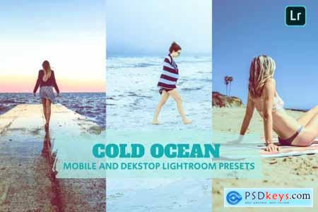 Cold Ocean Lightroom Presets Dekstop and Mobile