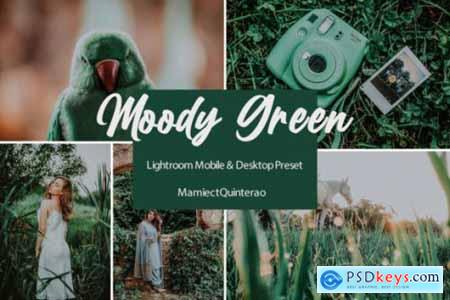 Moody Green Lightroom Presets Graphic