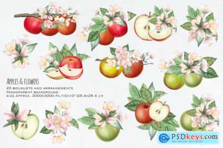 Apples and Flowers Collection
