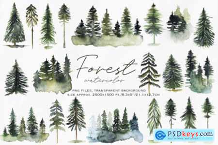 Watercolor Forest Clipart