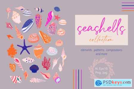 Seashells Collection 5962683