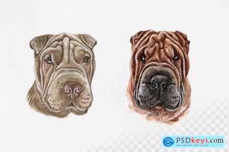 Watercolor Shar Pei Dog Set