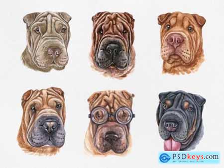 Watercolor Shar Pei Dog Set