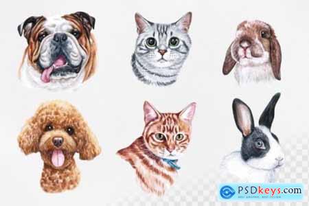 Watercolor Set Cute PET Illustrations