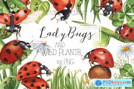 Watercolor Ladybug and WildPlant Clipart