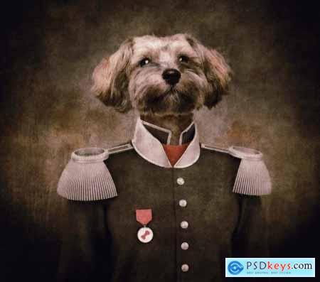 Dog General Photoshop Action 7165557