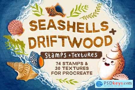 Seashells + Driftwood Procreate Set 6462824