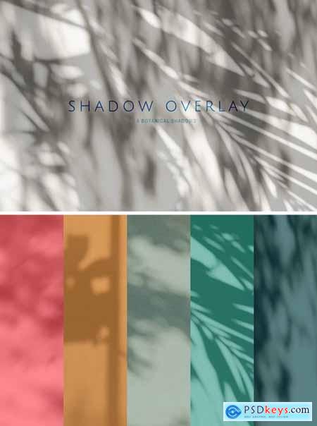 Botanical Shadow Overlays