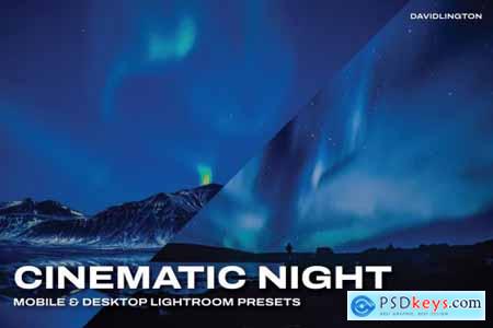 Cinematic Night Lightroom Presets & LUTs