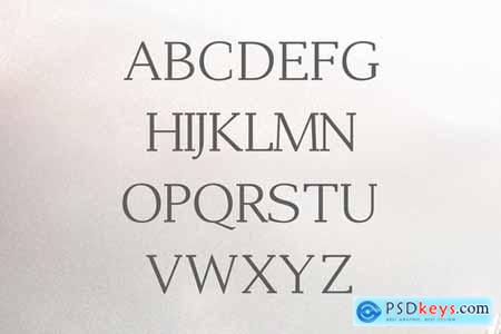 Adrina Modern Serif Font Family 3986997