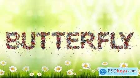 Colored Butterfly Animated Typeface 37507229