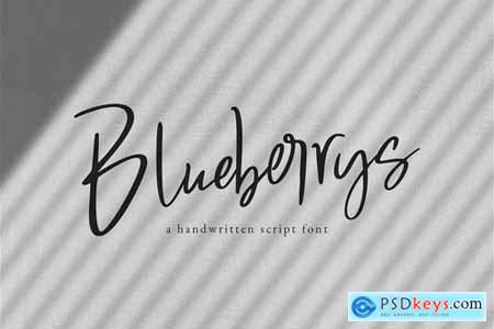 Blueberrys Signatures 3889532