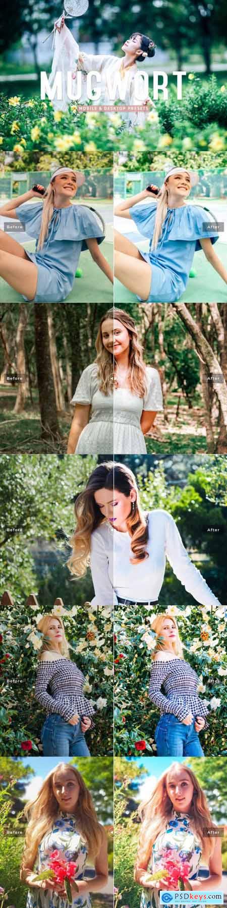 Mugwort Pro Lightroom Presets 7193789