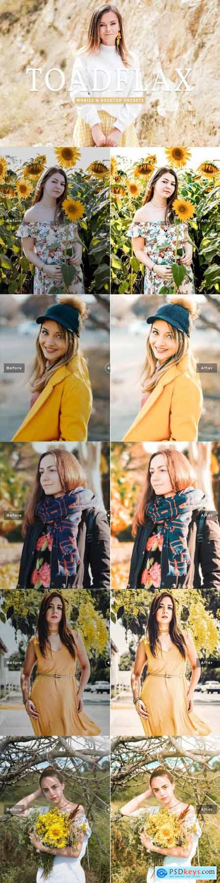 Toadflax Pro Lightroom Presets 7193794