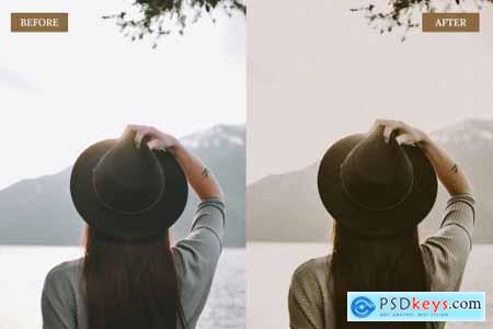 Vintage Brown Lightroom Presets 6762408