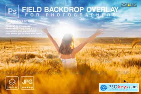 Digital Field Backdrop Ukraine Overlay