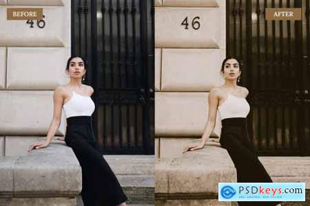 Vintage Brown Lightroom Presets 6762408